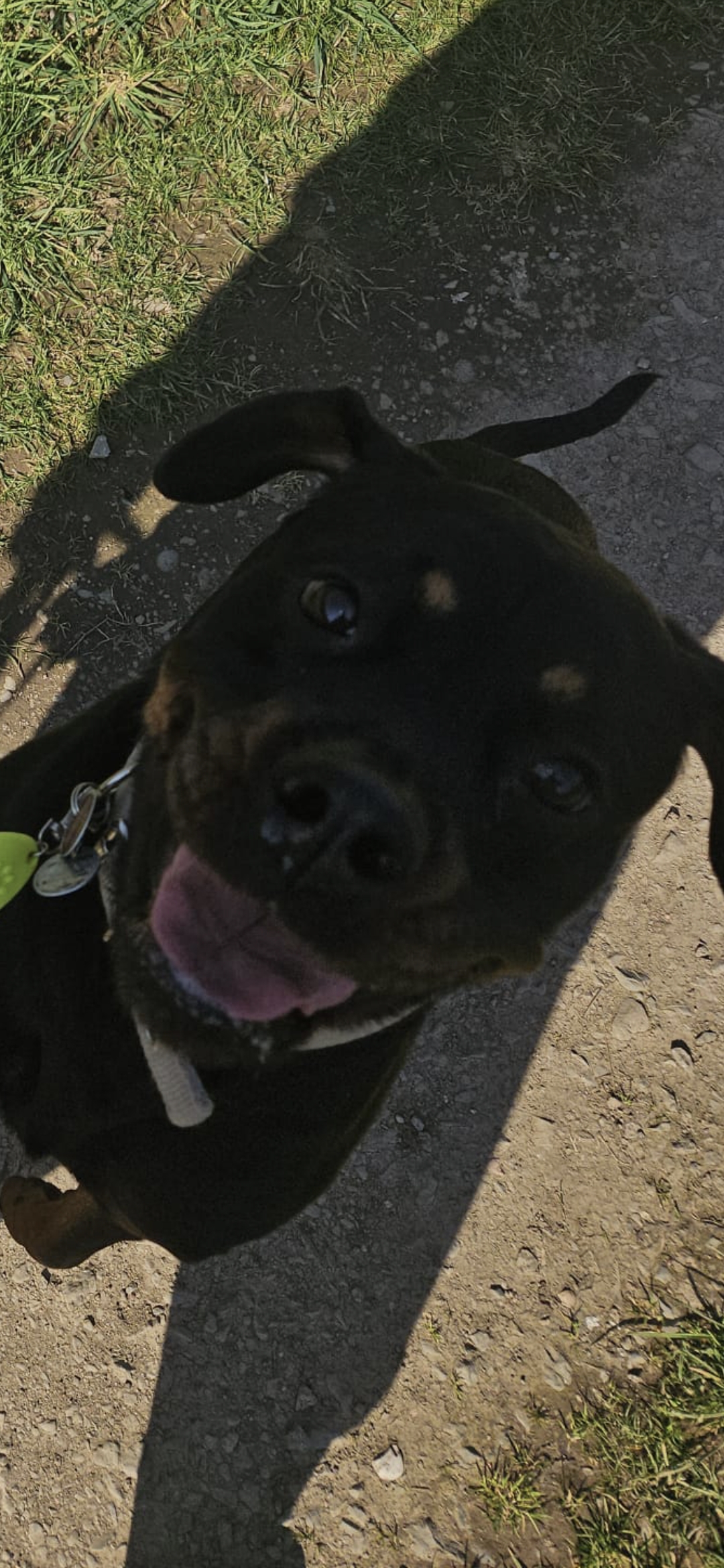 Lucy_Screenshot_20260322_180808_Gallery.jpg